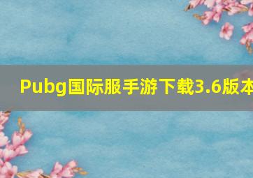 Pubg国际服手游下载3.6版本