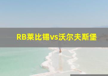 RB莱比锡vs沃尔夫斯堡