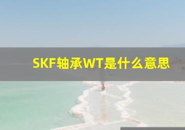 SKF轴承WT是什么意思