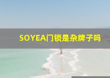 SOYEA门锁是杂牌子吗