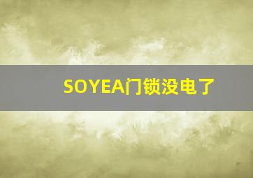 SOYEA门锁没电了