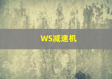 WS减速机