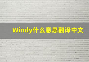 Windy什么意思翻译中文