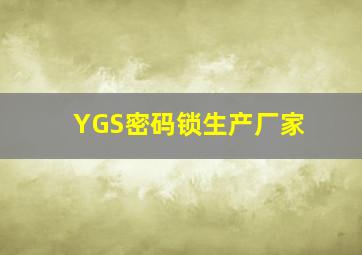 YGS密码锁生产厂家