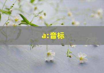 a:音标