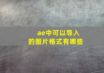 ae中可以导入的图片格式有哪些