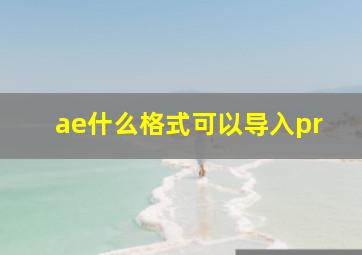 ae什么格式可以导入pr