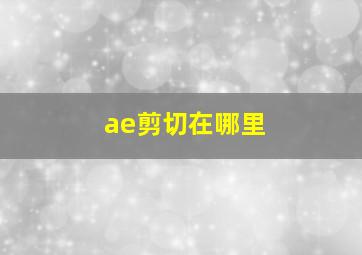 ae剪切在哪里