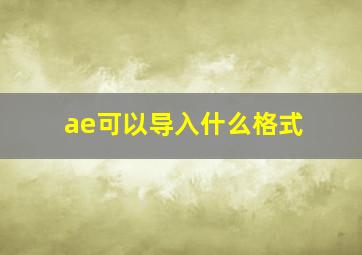 ae可以导入什么格式