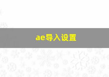 ae导入设置