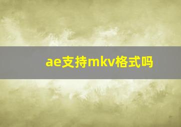 ae支持mkv格式吗