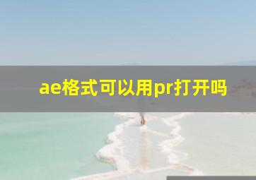 ae格式可以用pr打开吗