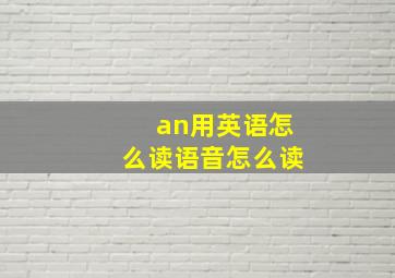 an用英语怎么读语音怎么读