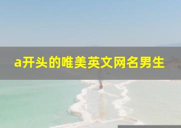 a开头的唯美英文网名男生