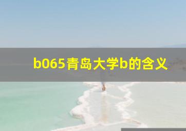 b065青岛大学b的含义