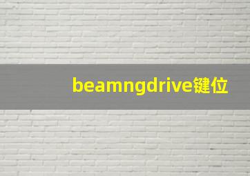 beamngdrive键位