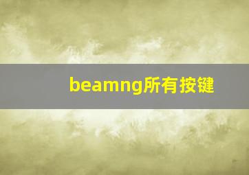 beamng所有按键