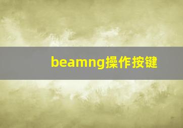 beamng操作按键