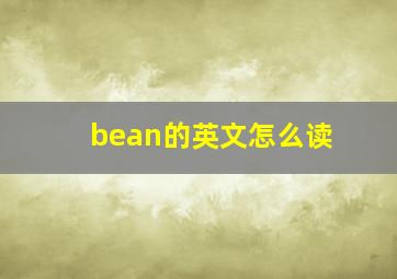 bean的英文怎么读