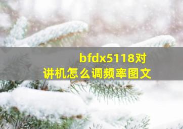 bfdx5118对讲机怎么调频率图文