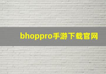 bhoppro手游下载官网