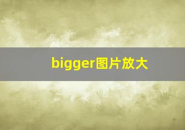 bigger图片放大