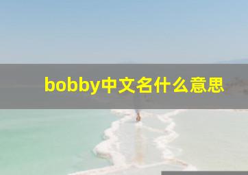 bobby中文名什么意思