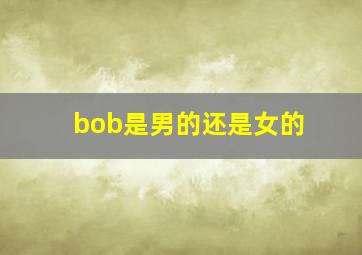 bob是男的还是女的