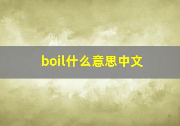 boil什么意思中文