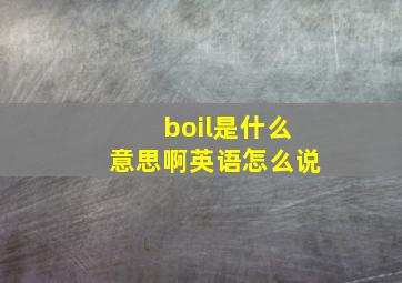 boil是什么意思啊英语怎么说