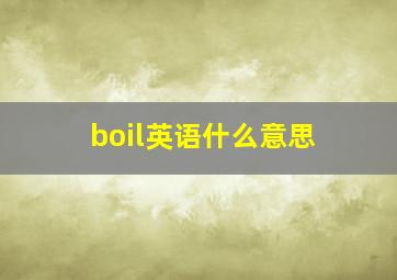 boil英语什么意思