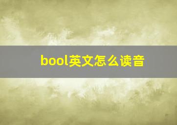 bool英文怎么读音