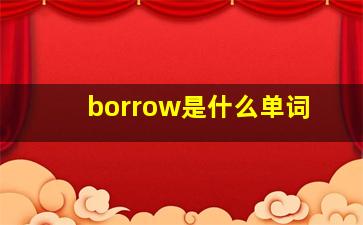 borrow是什么单词