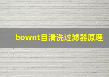 bownt自清洗过滤器原理