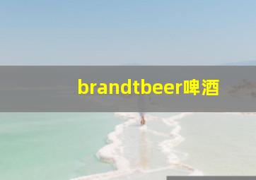 brandtbeer啤酒