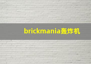 brickmania轰炸机