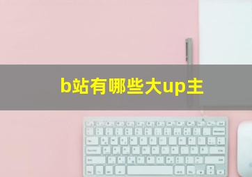 b站有哪些大up主