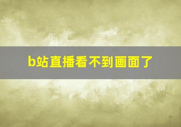 b站直播看不到画面了