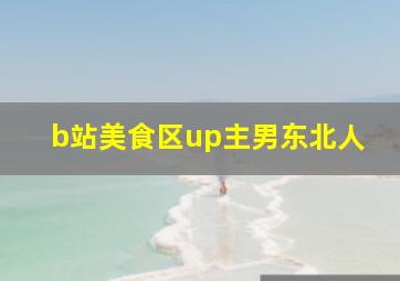 b站美食区up主男东北人