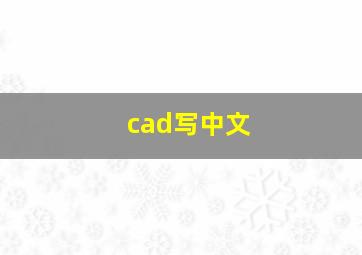 cad写中文