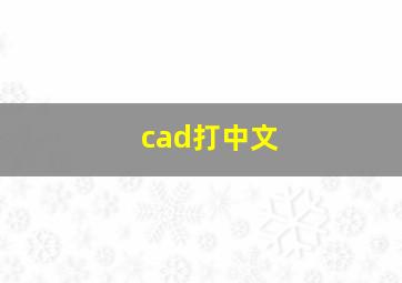 cad打中文