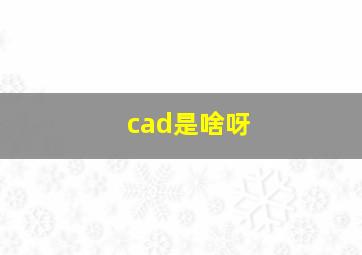 cad是啥呀