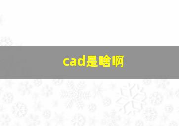 cad是啥啊