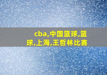 cba,中国篮球,篮球,上海,王哲林比赛