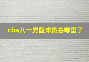 cba八一男篮球员去哪里了