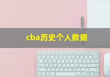 cba历史个人数据