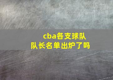 cba各支球队队长名单出炉了吗