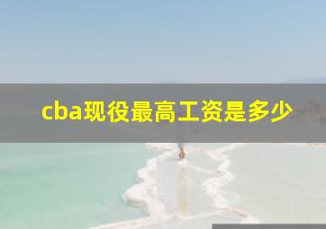 cba现役最高工资是多少