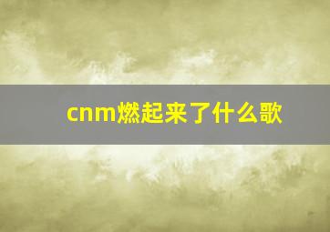 cnm燃起来了什么歌