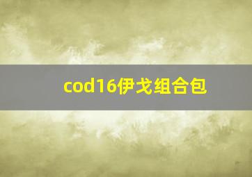 cod16伊戈组合包